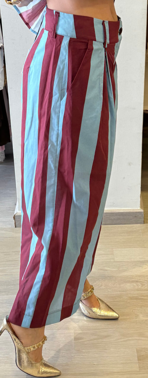 Pantalone Con Pence A Righe Larghe